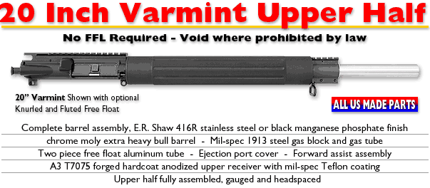 budget ar varmint build