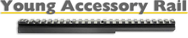 Young Accessory Rail